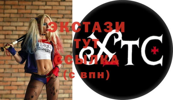 индика Медногорск