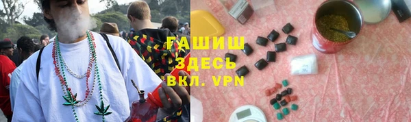 гашик Михайловск