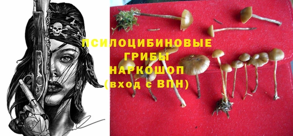 дживик Михайлов