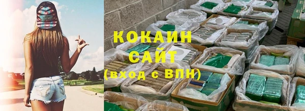 индика Медногорск