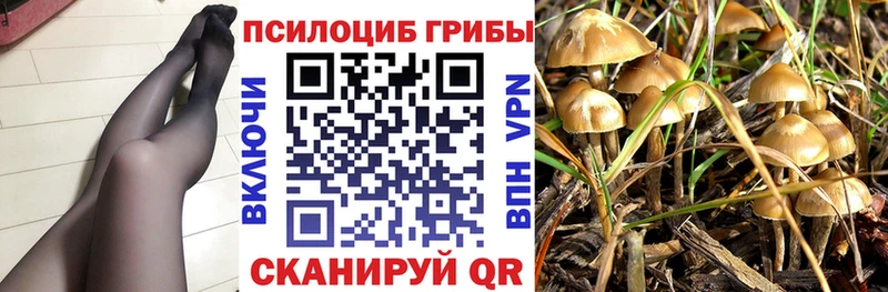 купить наркотик  Октябрьский  Псилоцибиновые грибы GOLDEN TEACHER 