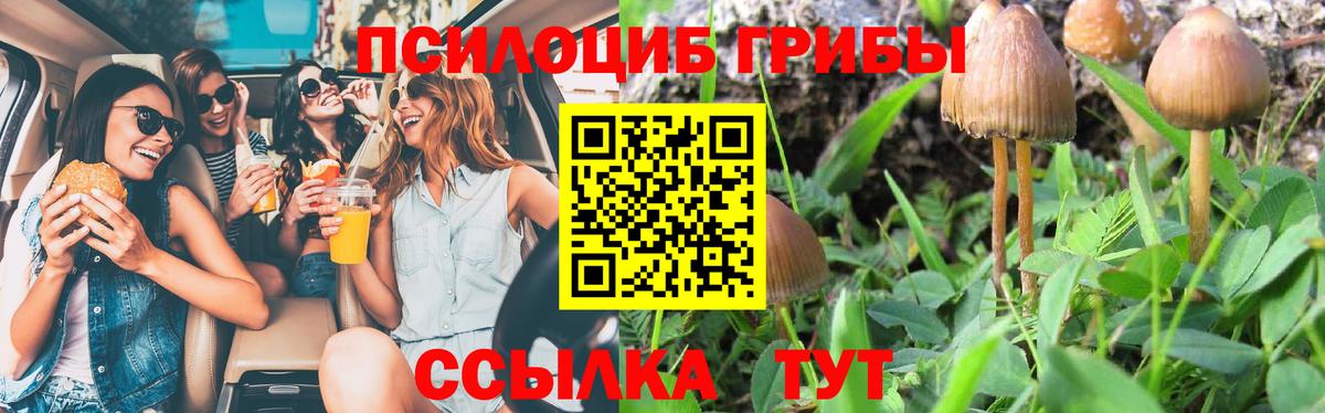 Псилоцибиновые грибы MAGIC MUSHROOMS  Вход с VPN  Октябрьский 