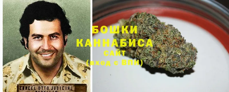 Шишки марихуана THC 21%  площадка клад  Октябрьский  купить  цена 