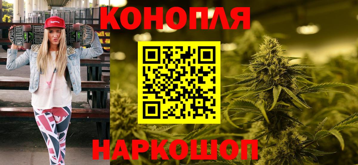 Конопля сатива Октябрьский